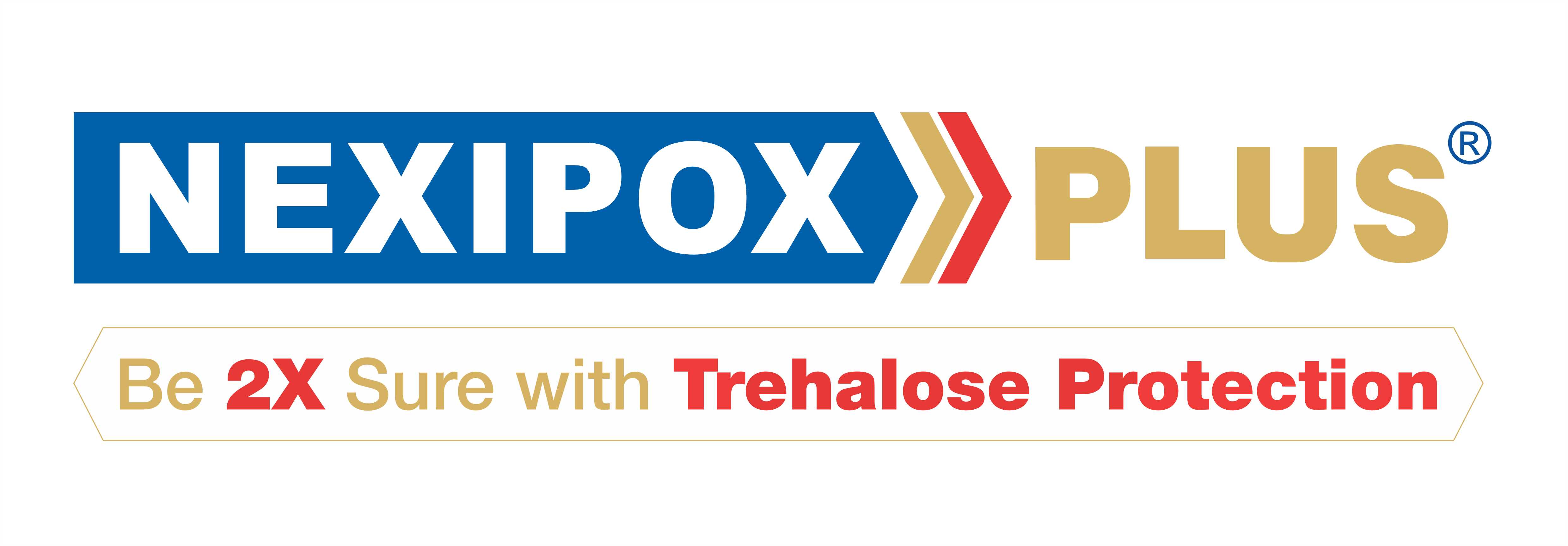 Nexipox Logo